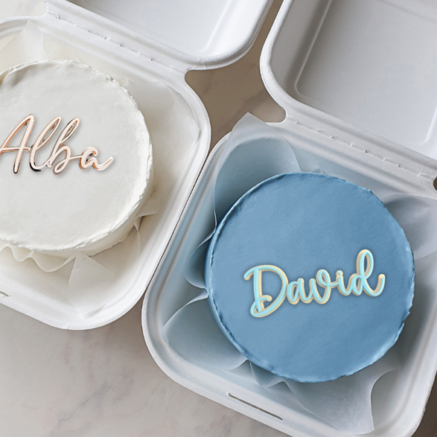 bento cake topper double épaisseur modèle alba et david